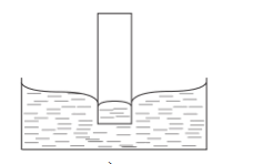 0901ii8w-5029-228x148.png