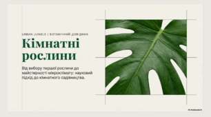 Кімнатні рослини