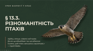 7 клас НУШ. Різноманітність птахів