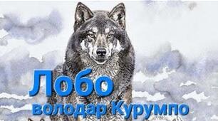 Ернест Сетон-Томпсон  «Лобо – володар Курумпо»