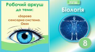 Робочий аркуш до теми “Зорова сенсорна система. Око”. Біологія 8 клас НУШ