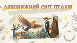 Презентація "Дивовижний світ птахів"