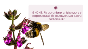 Презентація "Як організми співіснують у середовищі. Як складати ланцюги живлення?"