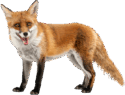 0901irt7-e670-125x95.png