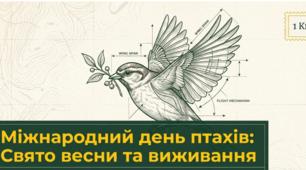 1 квітня - Міжнародний день птахів 🌍🕊️💚