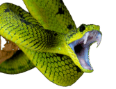 0901is8x-d0e9-111x86.png