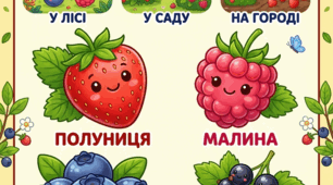 Серія навчальних плакатів "Ягідний світ"