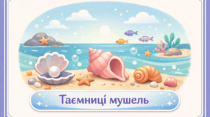 Проєкт «Таємниці мушель»