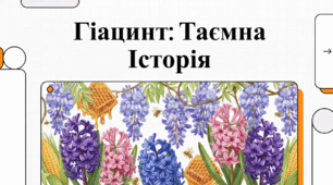 Гіацинт: історія, міфи та секрети вирощування квітки дощу