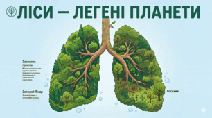 Екологічна подорож: Чому ліси називають «легенями планети»?