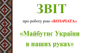 Звіт роботи рою (молодшої групи) Джура