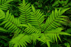 0901ituw-5209-237x158.png