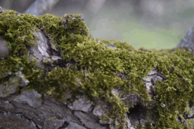 0901itvp-7223-276x184.png