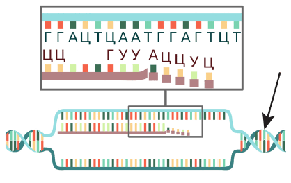 0901iv91-3b45-418x264.png