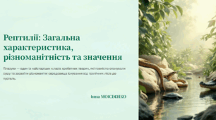 Рептилії. Загальна характеристика та різноманітність . Роль у природі та житті людини