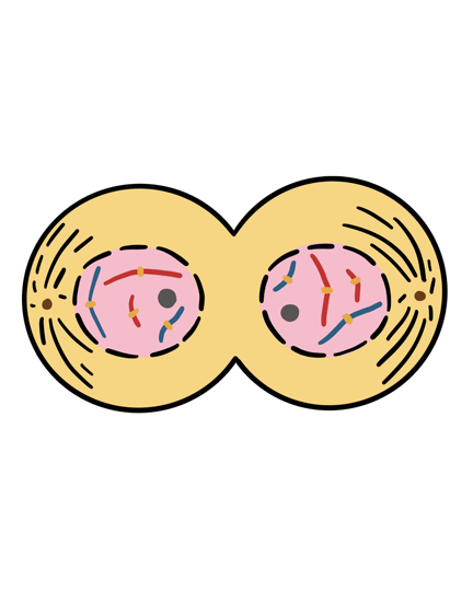 0901ivdv-8fc4-432x540.png
