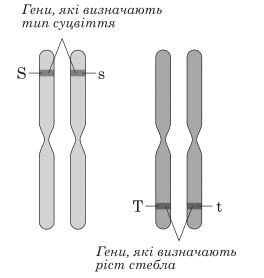 0901ivf8-60fb-264x278.png