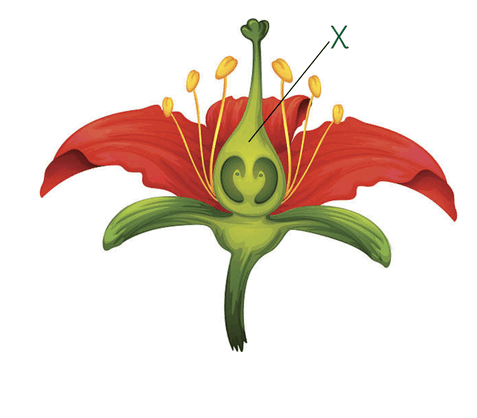 0901ivhd-cf5e-477x418.png