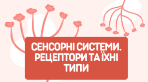 Характеристика сенсорних систем. Рецептори та їхні типи