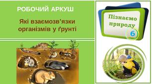 Робочий аркуш "Які взаємозв'язки організмів у ґрунті".  Пізнаємо природу. 6 клас. НУШ
