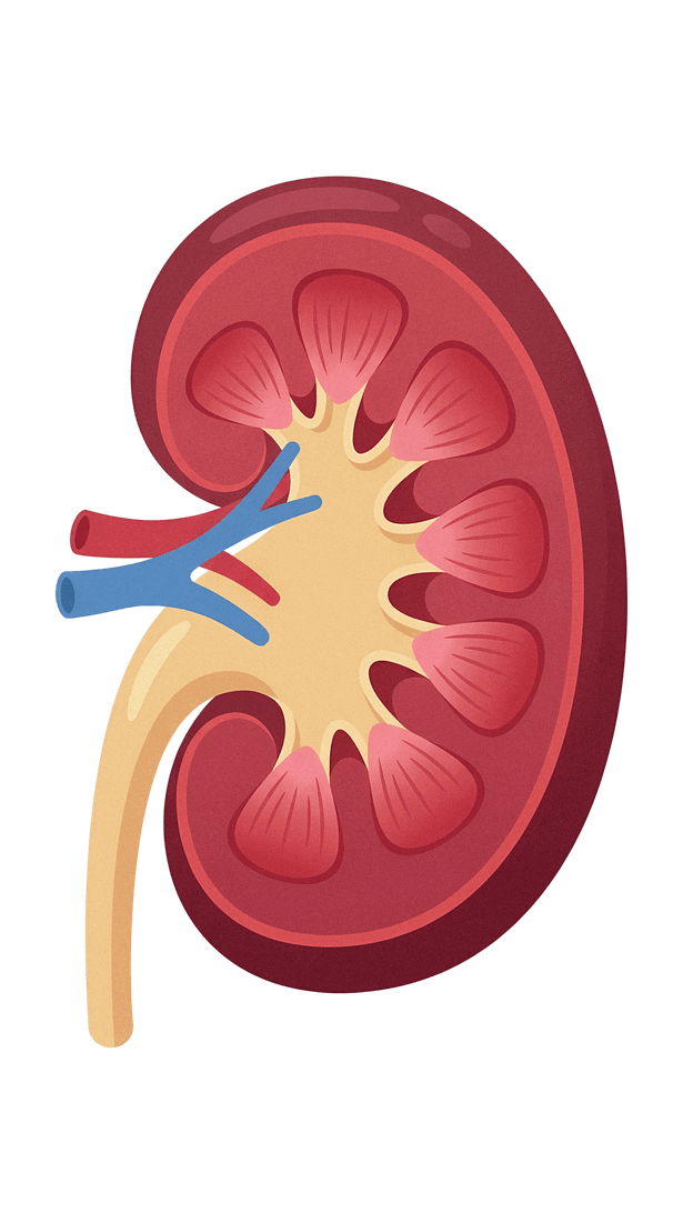 0901ivzv-8862-615x1101.png