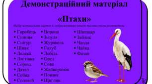 Демонстраційний матеріал «Птахи»