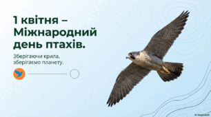 1 квітня - Міжнародний день птахів