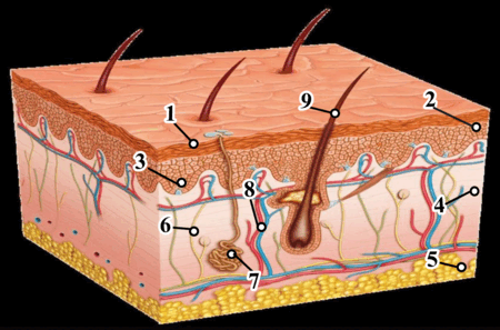 0901ix7y-e006-450x297.png