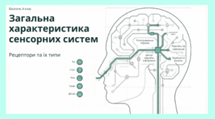 Презентація "Загальна характеристика сенсорних систем. Типи рецепторів" (8 клас. НУШ)