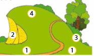 0901ixsi-c313-213x127.png