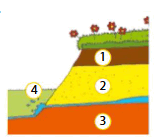 0901iy95-fb23-169x150.png