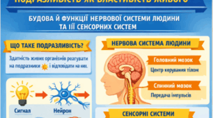  Діагностична робота з теми 7. Подразливість як властивість живого. Будова й функції нервової системи людини, сенсорних систем. 8 кл НУШ