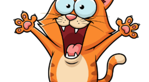 Animals flashcards