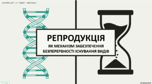 Презентація на тему "Репродукція як механізм забезпечення безперервності існування видів" § 53. 10 клас