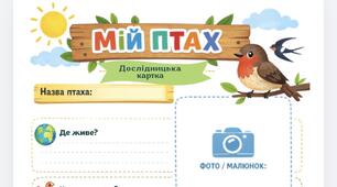 Дослідницький проєкт "Птахи"