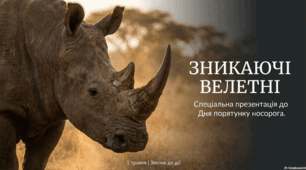 1 травня  - День порятунку носорога (Save The Rhino Day)
