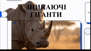 Відеоогляд " 1 травня  - День порятунку носорога (Save The Rhino Day) "