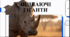 Відеоогляд " 1 травня  - День порятунку носорога (Save The Rhino Day) "