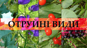 Філворд "Отруйні рослини України"