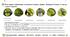 Робочий аркуш "Чому ліси є унікальним ресурсом" ("Лісові ресурси")