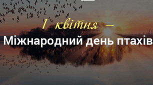 «Птахи — супергерої природи»
