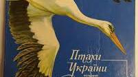Свято зустрічі птахів (презентація)