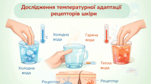 Лабораторне дослідження з біології для 8 класу НУШ на тему: «Дослідження температурної адаптації рецепторів шкіри»