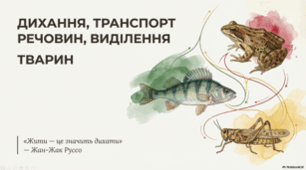 7 клас НУШ. Дихання, транспорт речовин, виділення тварин