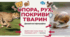 7 клас НУШ. Опора, рух, покриви тварин