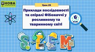 Урок 29 «Приклади послідовності та спіралі Фібоначчі у рослинному та  тваринному світі» 6 клас STEM
