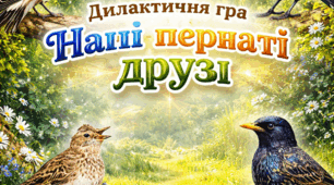 Дидактична гра «Знайомтесь — я пташка»
