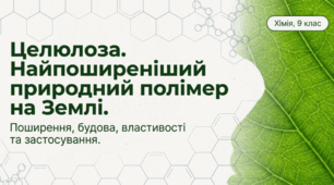 Целюлоза - природний полімер