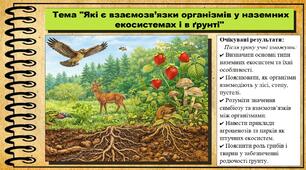 Які є взаємозв’язки організмів у наземних екосистемах і в ґрунті. Пізнаємо природу. 6 клас. До підручника Гільберг Т.