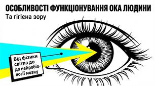 Презентація на тему:"Особливості функціонування ока людини. Гігієна зору "